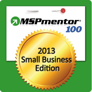 MSPmentor100 2013 Top MSPs