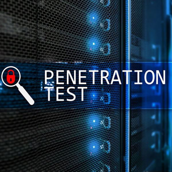 penetration testing guide for your company