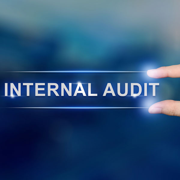 internal compliance audit